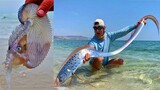 Catching Seafood 🦀🐙 ASMR Relaxing (Catch Shark , Catch Fish ,Deep Sea Monster ) #475