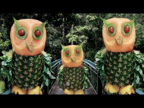 How To Make Owl / Fruit and vegetable carving