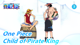 [One Piece] The Child of Pirate King Is so Kind_3