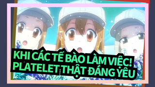 [Khi các tế bào làm việc!] Platelet thật đáng yêu!