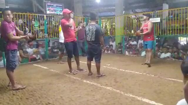 2022-2nd fight elimination win running for Championship at brgy dinahican infanta quezon cockfit