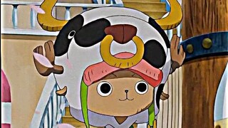 Chopper Kawaii😍