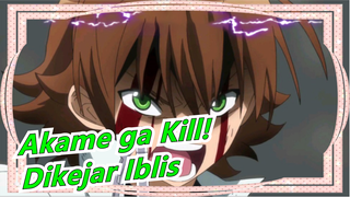 [Akame ga Kill! / Semua Epik]Incursio!Ittō Shura! Saat dai meneriakannya, Dunia terkejut!