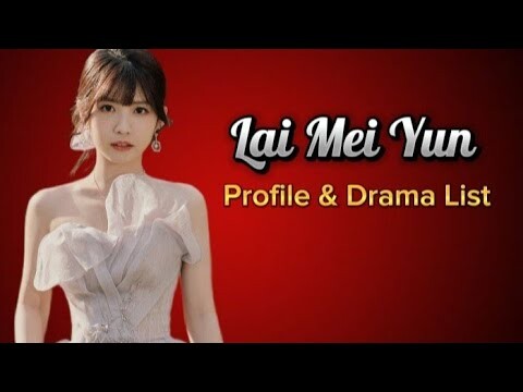 Profile and List of Lai Mei Yun Dramas from 2019 to 2024