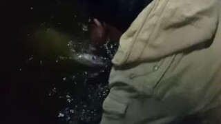 mancing pertama langsung dapat babon,,, salam satu  hobby