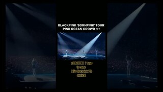 BLACKPINK Pink Ocean insane crowd [Drone] | 7th anniversary #blackpink #lisa #jennie #jisoo #rose