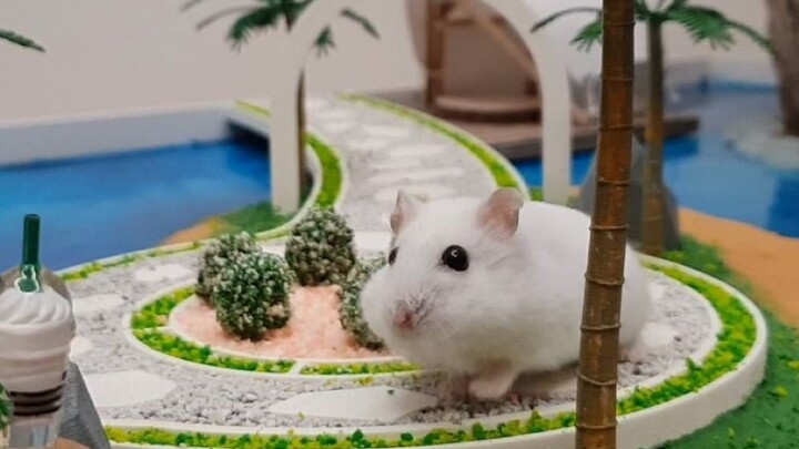Super Big Artificial Island Theme Park Building Project For Hamster