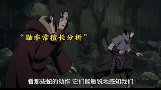 宇智波兄弟对战仙人兜