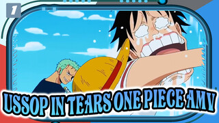 Ussop in Tears- Everyone Knows the Three Great Powers, But Who Knew My "Lies" Would Come True?! | One Piece_1