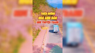 Thiên đường hoa anh đào như truyện tranh