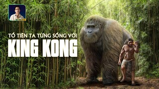 GIGANTOPITHECUS - KING KONG CỦA THỜI TIỀN SỬ TỪNG SỐNG Ở VIỆT NAM | DISCOVERY