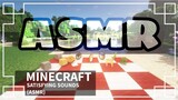 Minecraft Satisfying Sounds | ASMR