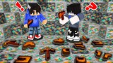Minecraft, But we have ₱1,000,000 COPPERS | with @potpot