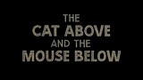 Tom and Jerry - The Cat Above and the Mouse Below