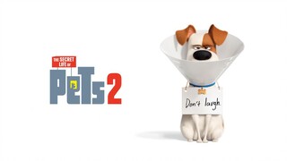 2019 • The Secret Life of Pets 2 • 1080p