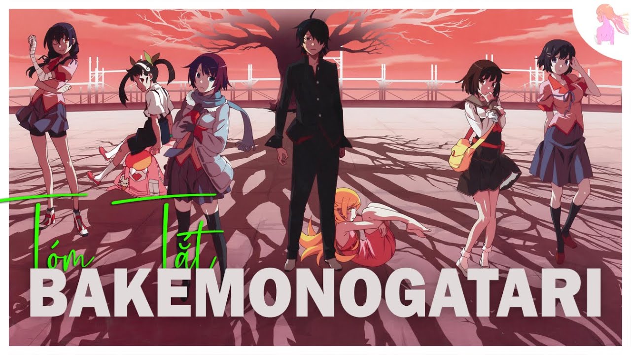 How to Read Monogatari Light Novels in Order? (October 2023) - Anime Ukiyo