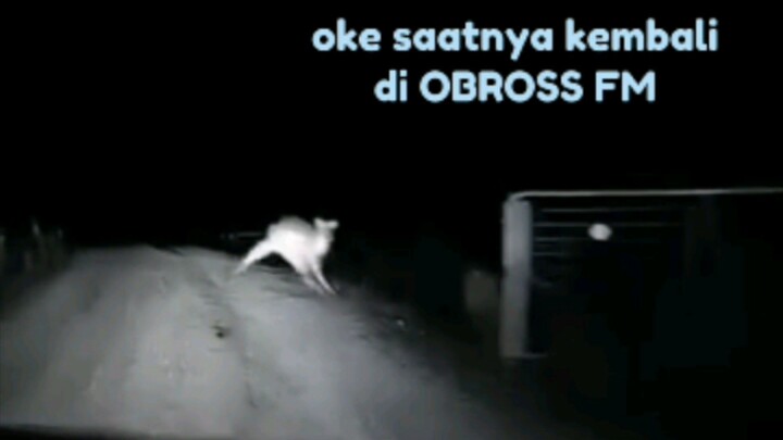 OBROSS FM muncul