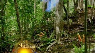 Encantandia 2016-Full Episode 25