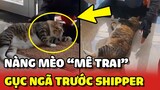 Nàng mèo MÊ TRAI cứ gặp anh Shipper là NẰM RA cho SỜ SOẠNG 😂 | Yêu Lu