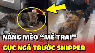 Nàng mèo MÊ TRAI cứ gặp anh Shipper là NẰM RA cho SỜ SOẠNG 😂 | Yêu Lu