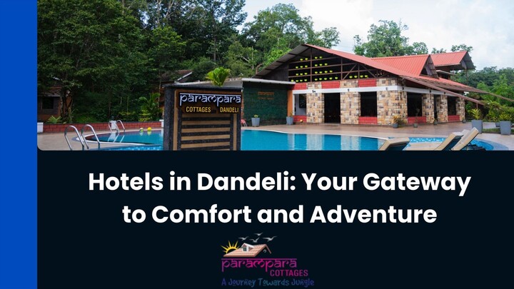 Booking the Best Hotels in Dandeli: Everything You Need to Know