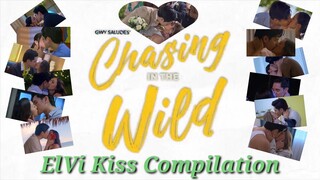 Chasing In The Wild |ElVi Kiss Compilation |Gab Lagman & Hyacinth Callado | HyGab