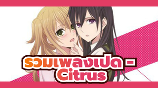 รวมเพลงเปิด - Citrus