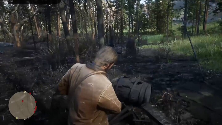 【Red Dead Redemption 2】 Hướng dẫn bạn một khởi đầu hoàn hảo, trò chơi dễ dàng