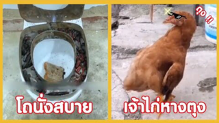 รวมคลิปตลก: โถชักโครกที่สบายตูดที่สุดในสามโลก!!