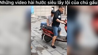 Chú gấu siêu lầy lội hài hước#haihuoc#hài#gau#tt#2