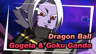 Dragon Ball
Gogeta & Goku Ganda