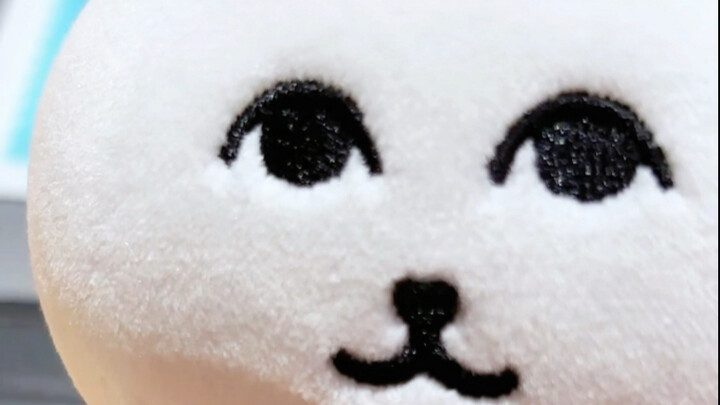 Yandere Bear