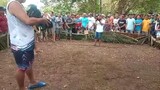 nakakuha ng baka...fastest kill