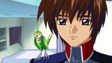 Mobile Suit Gundam Seed (Dub) Episode 34