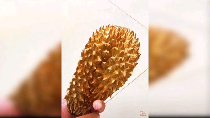 When animals smells durian.(Credits to Wow Animals