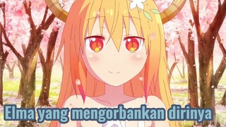 Elma yang mengorbankan dirinya