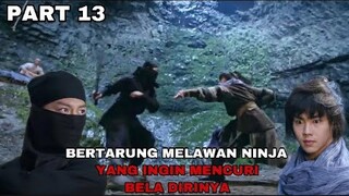 NINJA MISTERIUS YANG BERUSAHA MENG COPY JURUS BELA DIRI YUJIN - ALUR CERITA - PART 13