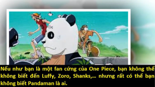 Những "Vị Thánh" bá đạo trong One Piece p3