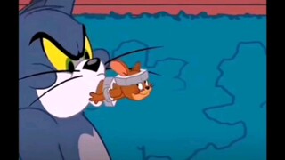 ⚡Tom và Jerry, Jerry không thể sống thiếu Tom⚡