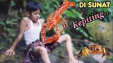 di SUNAT KEPITING❗komedi sunat diwan bocil riki | circumcision of crabs | muhyi official