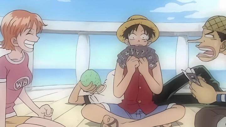 [Inventory] The Straw Hat Pirates’ activities during their leisure time~!