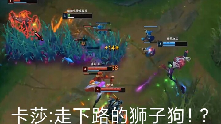 卡莎:走下路的狮子狗！?