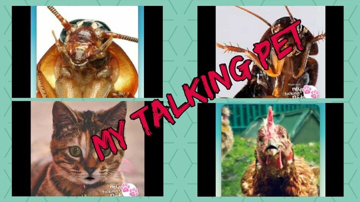 funny compilation talagalog version my talking pets