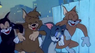 Sichuan dialect Tom and Jerry: Tom Cat returns to cause trouble in Internet cafes? Funny operation m