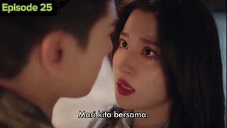 Fireworks of my heart series episode 25 | Sub indo #fyp yang yang wang churan