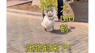 【JOJO】大 DIO 鹅