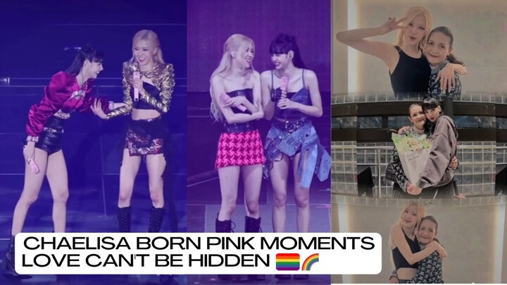 CHAELISA BORN PINK MOMENTS || LOVE CAN'T BE HIDDEN