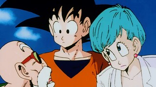 Why are these two people so different in Dragon Ball? One is always chasing, but can never catch up