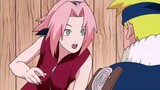 [Naruto] Sakura rắc đường khắp Naruto, và video này cũng không ngoại lệ