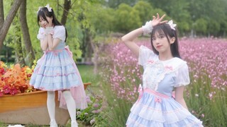 【bdf2023】✧聚光✧ 和甜妹在花丛中起舞吧~